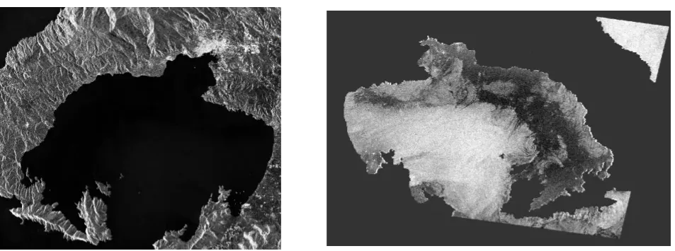 raw SAR scene through cropping, calibration, ellipsoid correction, and land-sea masking›